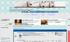 Forohorses.com thumbnail