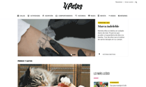 Foros.dinero.com thumbnail