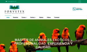 Forvetex.com thumbnail