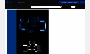 Foset.com.mx thumbnail