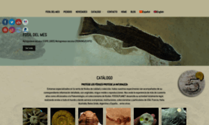 Fossilplanet.com thumbnail