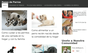 Fotosderazasdeperros.com thumbnail