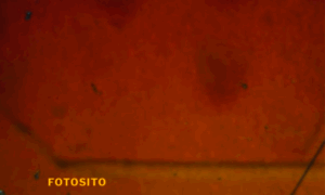 Fotosito.net thumbnail