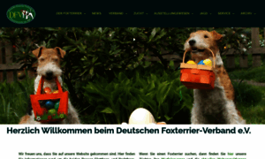 Foxterrier-verband.de thumbnail