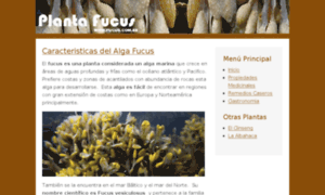 Fucus.com.es thumbnail