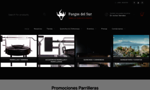 Fuegosdelsur.cl thumbnail