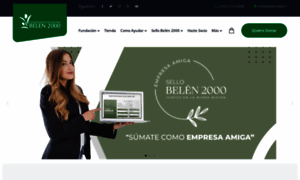 Fundacionbelen2000.cl thumbnail