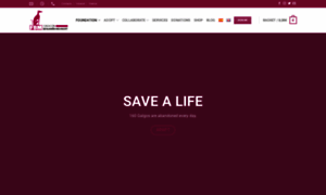 Fundacionbm.com thumbnail