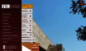 Fundacioncolmex.org.mx thumbnail