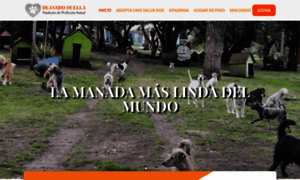 Fundaciondejandohuella.org thumbnail