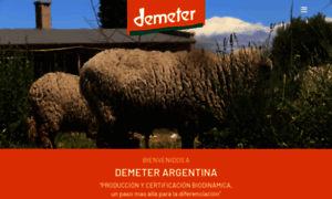 Fundaciondemeter.com.ar thumbnail