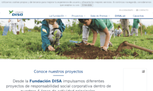 Fundaciondisa.org thumbnail