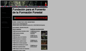 Fundacionf4.com thumbnail
