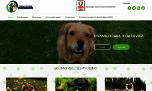 Fundacionmia.org thumbnail