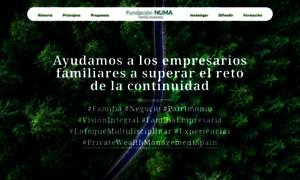 Fundacionnuma.com thumbnail