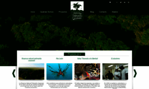 Fundacionpalmaritocasanare.org thumbnail