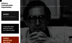 Fundacionricardomartinez.net thumbnail