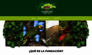 Fundacionsalvaelamazonas.com thumbnail