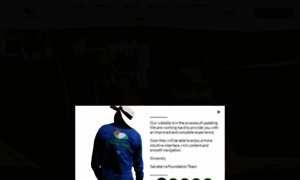 Fundacionsalvaterra.org thumbnail