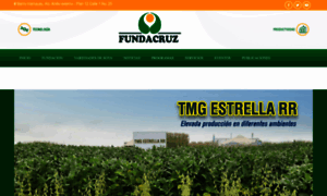 Fundacruz.org.bo thumbnail