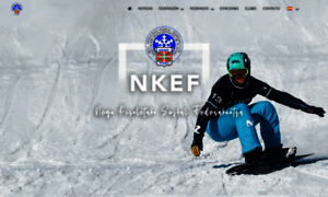 Fvdi-nkef.org thumbnail