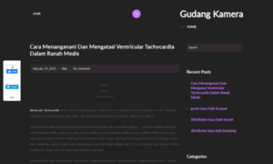 Gabicerruti.com thumbnail