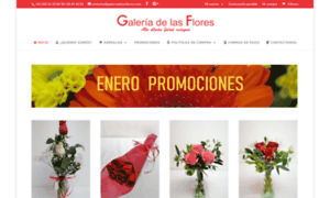 Galeriadelasflores.com thumbnail