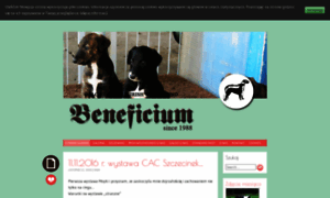 Galgo.pl thumbnail
