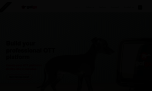 Galgo.tv thumbnail