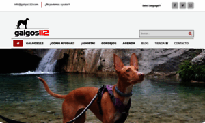 Galgos112.es thumbnail