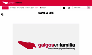 Galgosenfamilia.org thumbnail