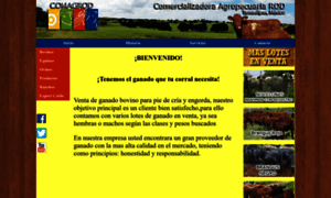 Ganadotamaulipas.com thumbnail