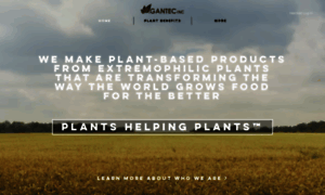 Gantecinc.com thumbnail