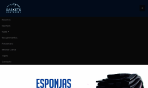 Gasketsmonterrey.com thumbnail