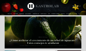 Gastrolabweb.com thumbnail