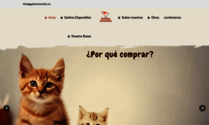 Gatitosatrevidos.es thumbnail