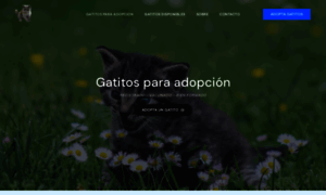 Gatitosparaadopcion.com thumbnail