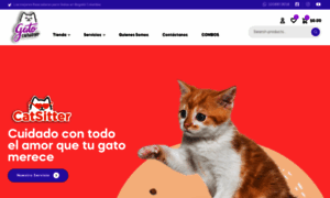 Gatocurioso.com thumbnail