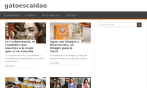 Gatoescaldao.com thumbnail