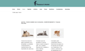 Gatos.paradais-sphynx.com thumbnail