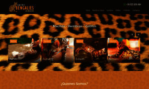 Gatosbengalies.com thumbnail
