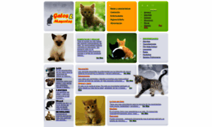 Gatosymascotas.com thumbnail