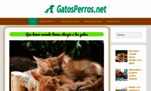 Gatosyperros.club thumbnail