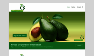 Gcvillanuevas.com thumbnail