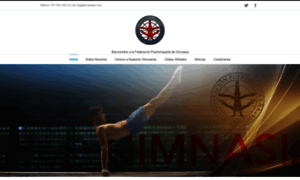 Gimnasiapur.org thumbnail