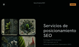 Globalseosarasolana.com thumbnail