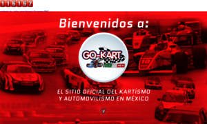 Go-kartmexico.com thumbnail
