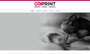 Go-prints.com thumbnail