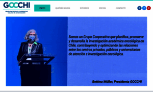Gocchi.org thumbnail