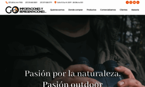 Goimportaciones.com thumbnail